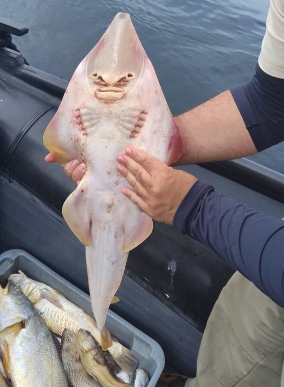 WhatsApp Image 2024-03-27 at 18.35.58.jpeg