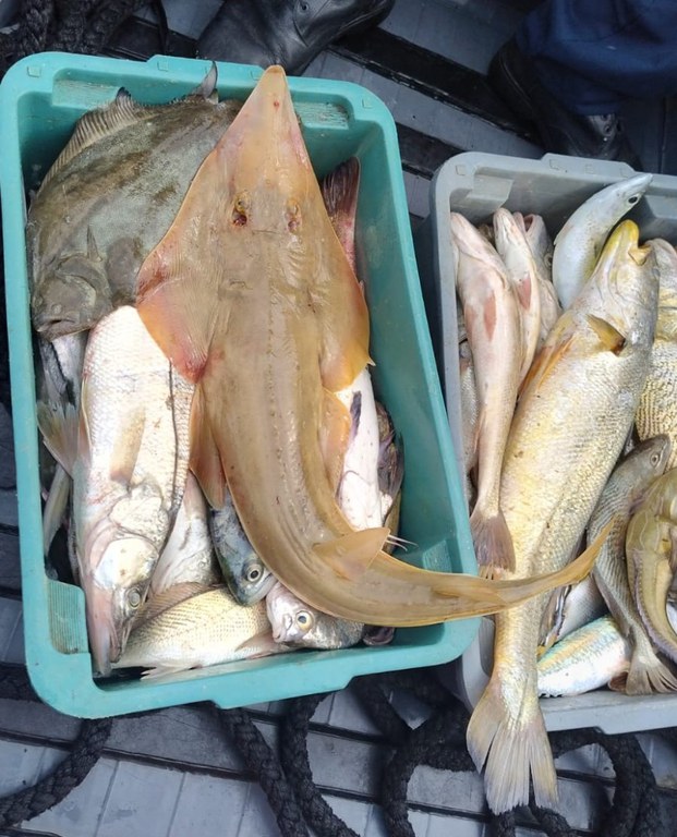 WhatsApp Image 2024-03-27 at 18.35.59.jpeg