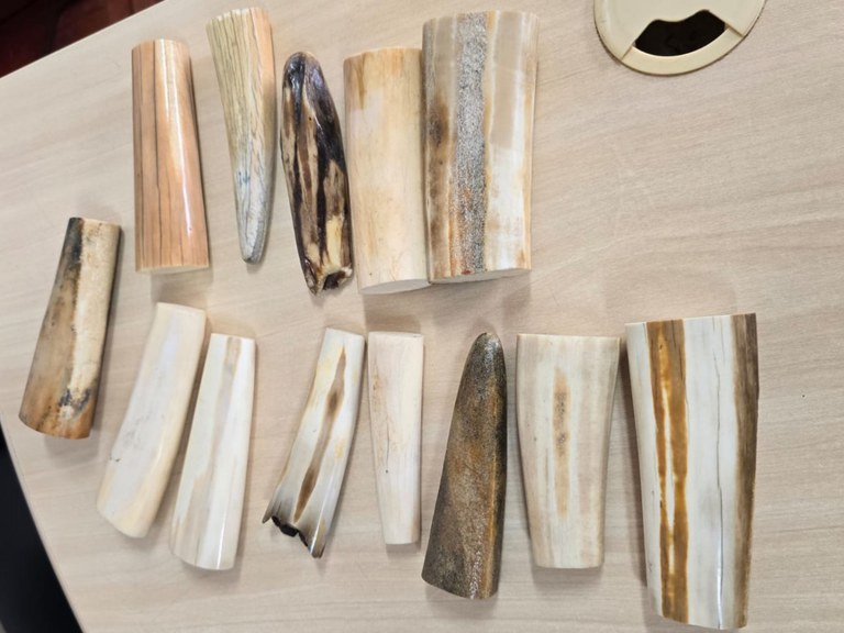 WhatsApp Image 2024-04-11 at 17.14.27.jpeg