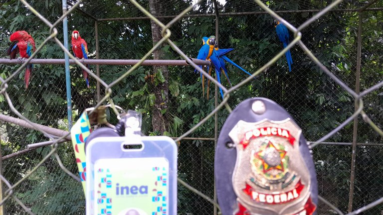 WhatsApp Image 2024-04-15 at 17.57.40.jpeg