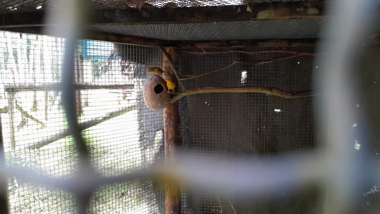 WhatsApp Image 2024-04-15 at 17.57.41.jpeg