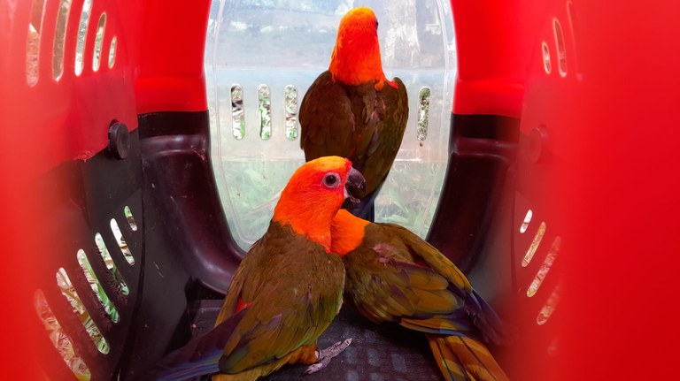 WhatsApp Image 2024-04-15 at 17.57.42.jpeg