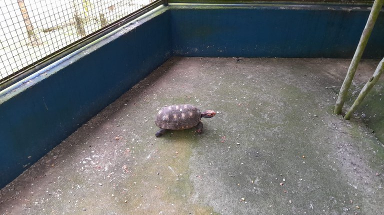 WhatsApp Image 2024-04-15 at 17.57.43.jpeg