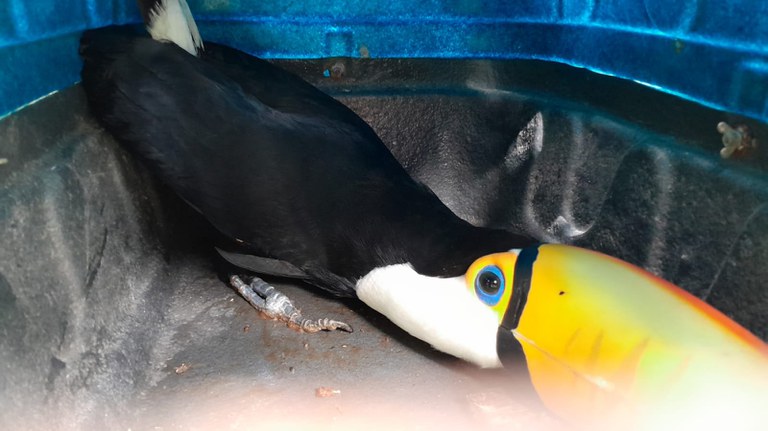 WhatsApp Image 2024-04-15 at 17.57.44 (1).jpeg