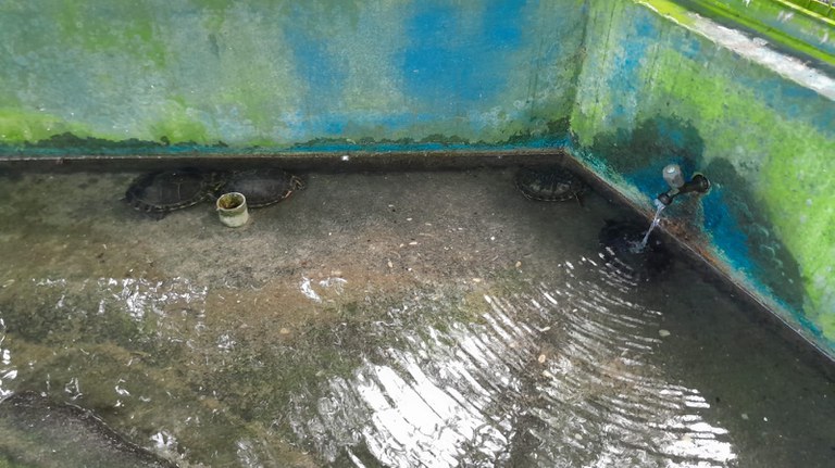 WhatsApp Image 2024-04-15 at 17.57.44.jpeg