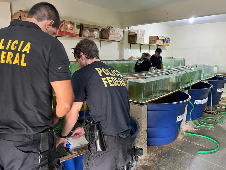 WhatsApp Image 2024-04-04 at 8.15.02 AM.jpeg