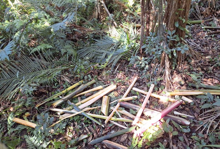 WhatsApp Image 2024-04-04 at 7.06.15 PM.jpeg