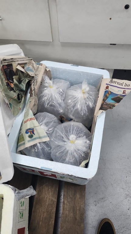 WhatsApp Image 2024-04-05 at 11.28.02 (2).jpeg