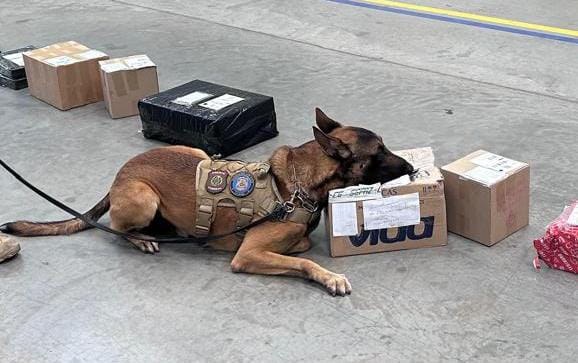 WhatsApp Image 2024-05-14 at 14.22.21.jpeg