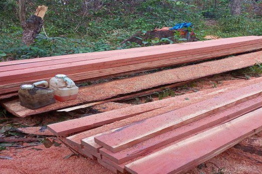 WhatsApp Image 2024-05-29 at 08.32.04.jpeg