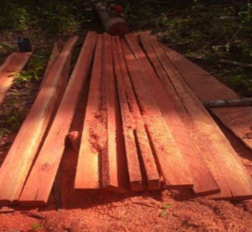 WhatsApp Image 2024-05-29 at 08.32.05 (1).jpeg