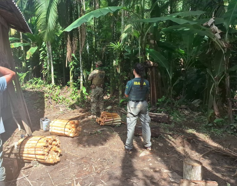 WhatsApp Image 2024-05-03 at 17.56.39 (1).jpeg