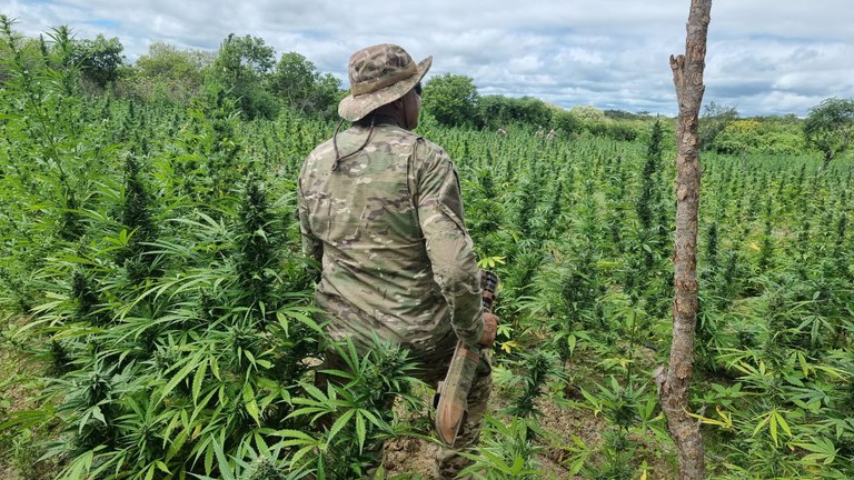 WhatsApp Image 2024-05-26 at 22.29.09 (1).jpeg