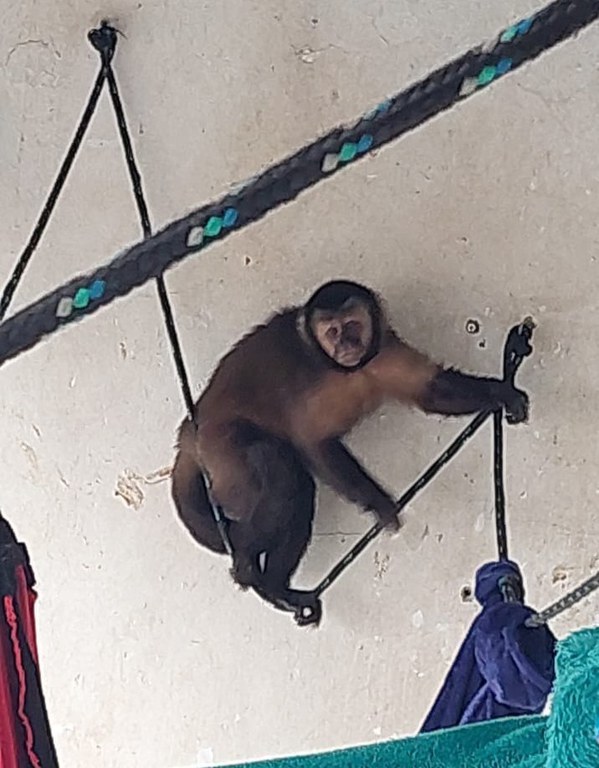 WhatsApp Image 2024-05-21 at 17.55.50.jpeg