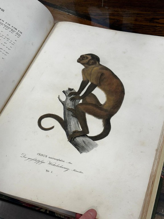 WhatsApp Image 2024-05-01 at 07.57.52 (2).jpeg