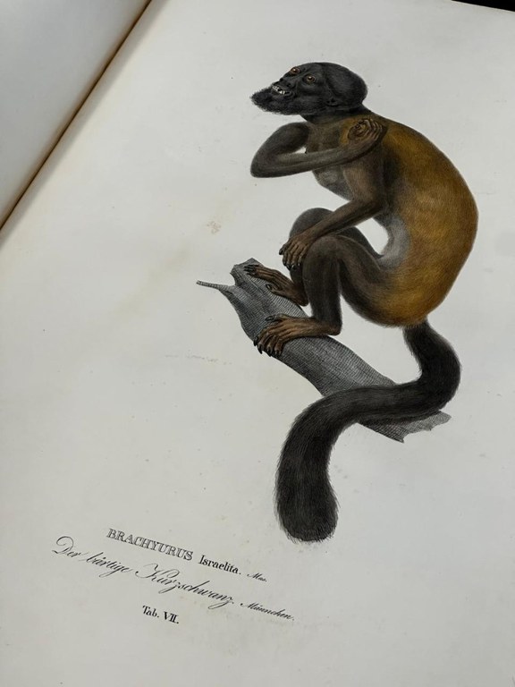 WhatsApp Image 2024-05-01 at 07.57.52 (3).jpeg