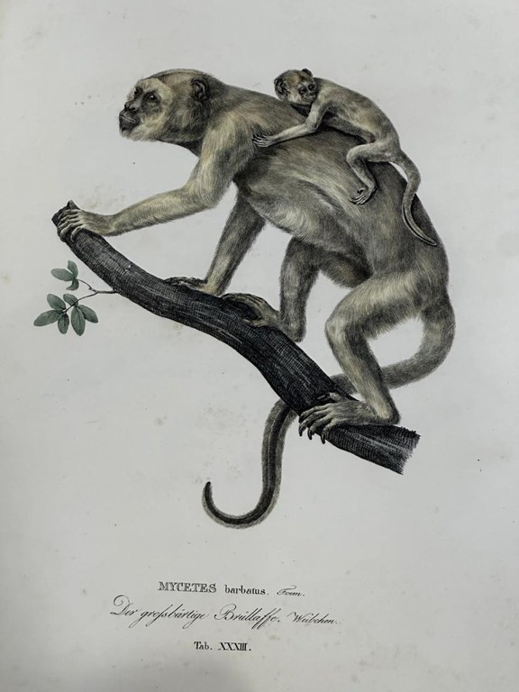 WhatsApp Image 2024-05-01 at 07.57.53 (1).jpeg