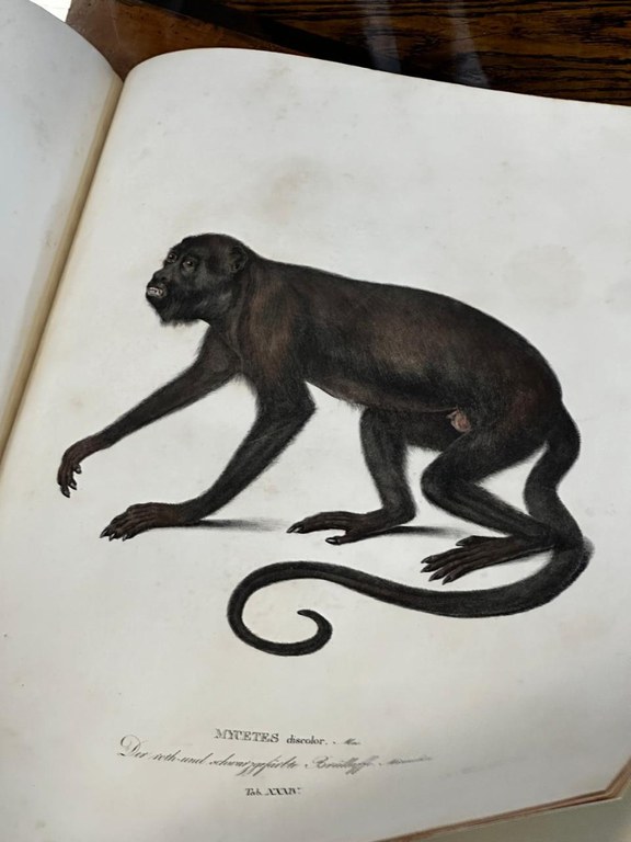 WhatsApp Image 2024-05-01 at 07.57.53 (2).jpeg