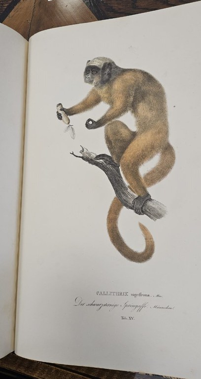 WhatsApp Image 2024-05-01 at 07.57.54 (1).jpeg