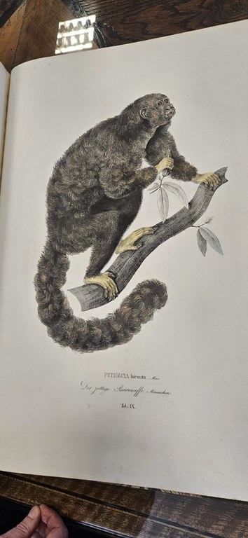 WhatsApp Image 2024-05-01 at 07.57.54 (2).jpeg