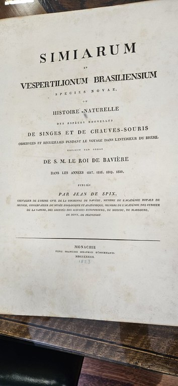 WhatsApp Image 2024-05-01 at 07.57.54.jpeg