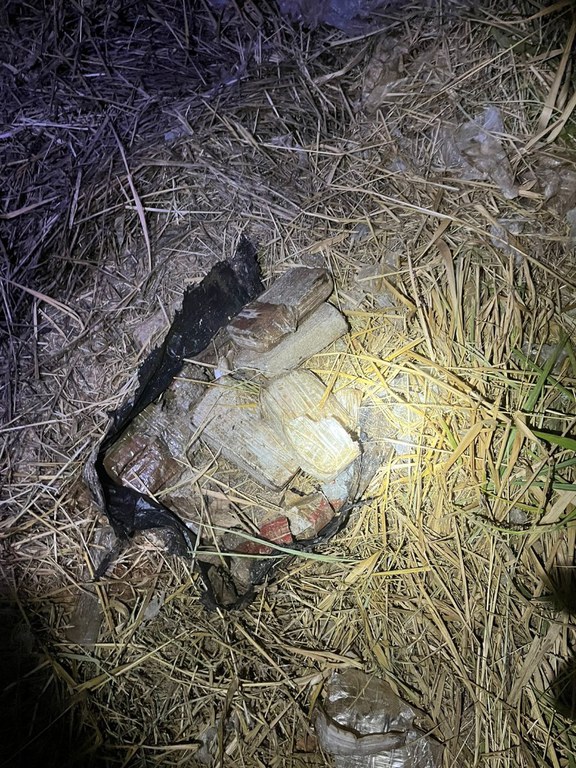 1b630226-5107-4ec6-a6cf-e645a55206ab.jfif