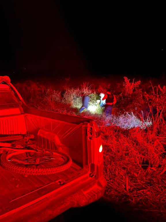 82b5734a-cb84-475a-aa8e-a81af5da1940.jfif