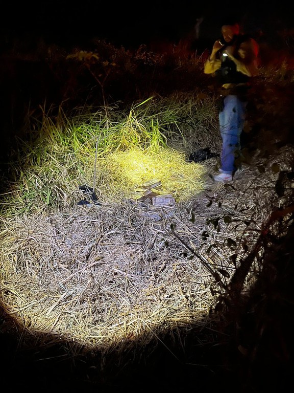 b9a5a518-f906-466a-9d71-7410cfba476b.jfif