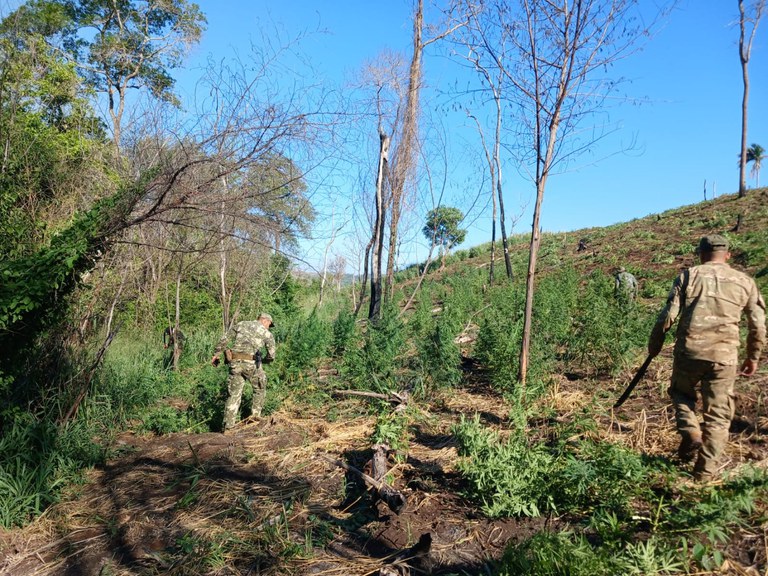 WhatsApp Image 2024-06-07 at 16.00.30.jpeg