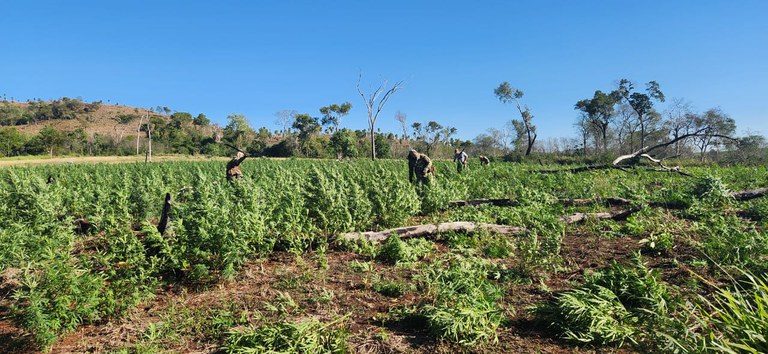 WhatsApp Image 2024-06-07 at 16.00.33.jpeg