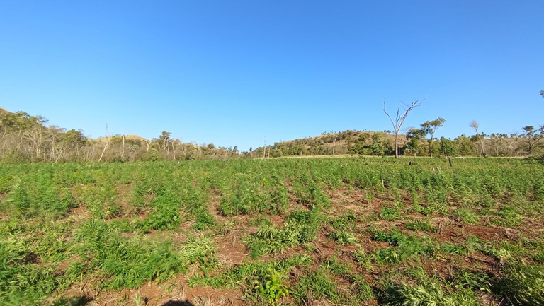 WhatsApp Image 2024-06-07 at 16.00.36.jpeg