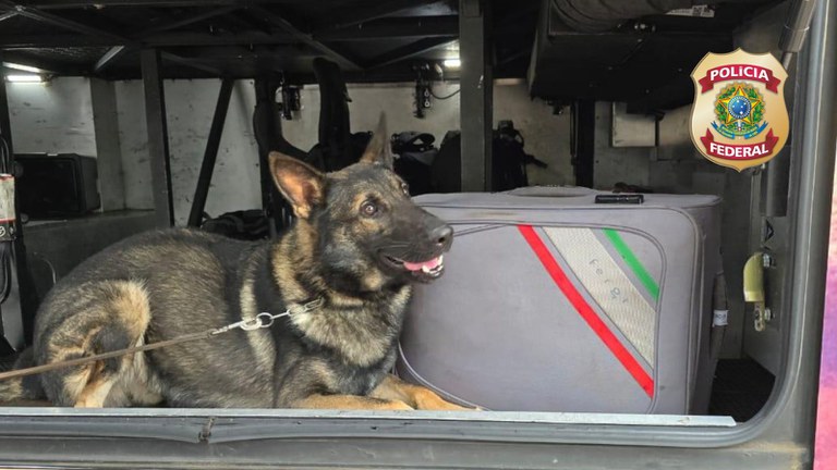 WhatsApp Image 2024-06-28 at 21.35.36 (1).jpeg