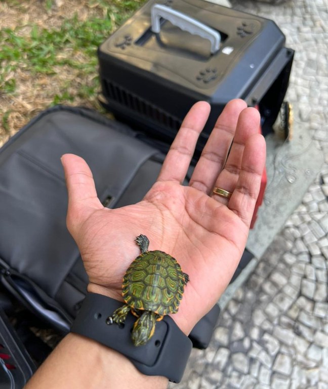 WhatsApp Image 2024-06-23 at 11.05.41.jpeg