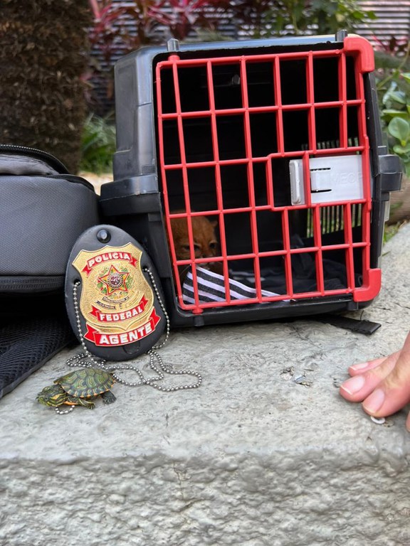 WhatsApp Image 2024-06-23 at 11.05.42.jpeg