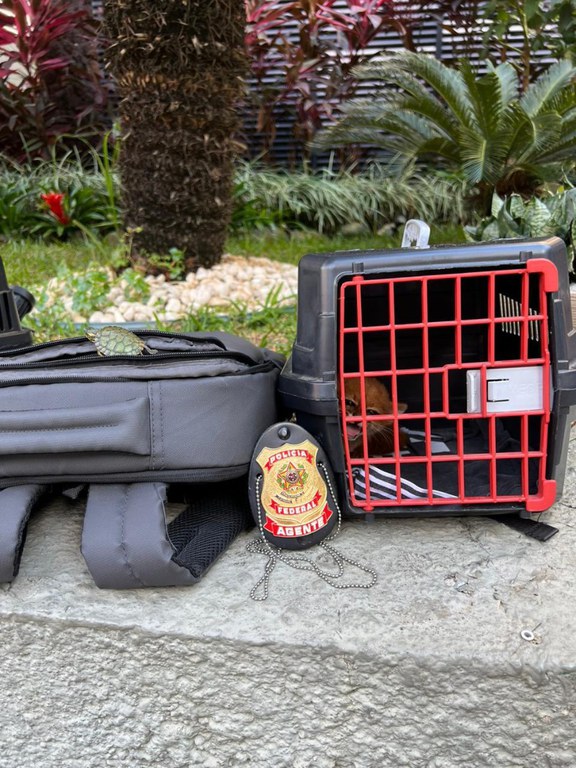 WhatsApp Image 2024-06-23 at 11.05.43.jpeg