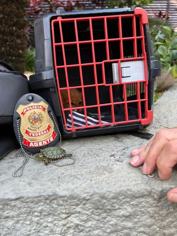 WhatsApp Image 2024-06-23 at 11.05.44.jpeg