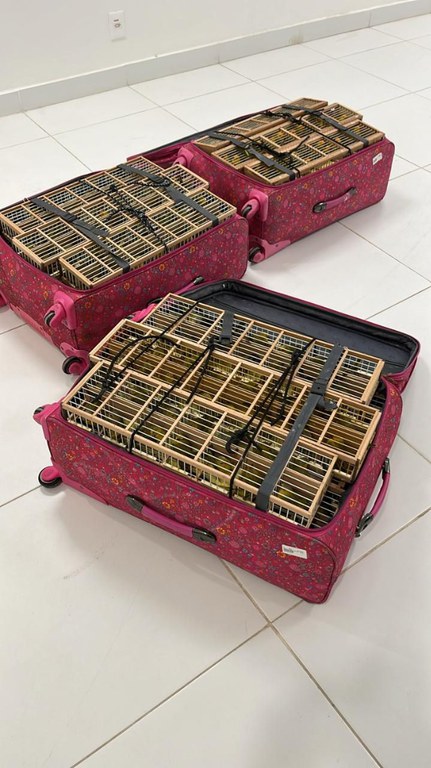 WhatsApp Image 2024-06-30 at 12.34.22.jpeg