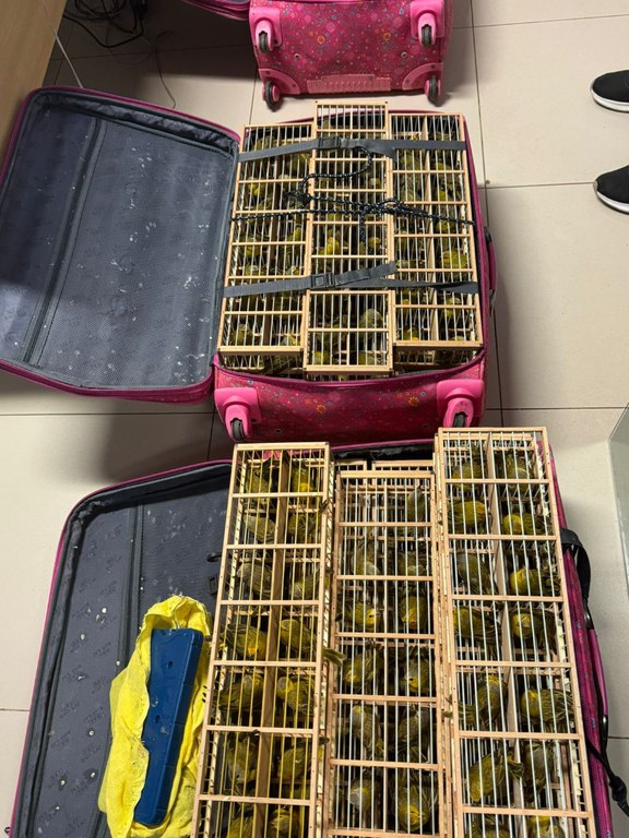 WhatsApp Image 2024-06-30 at 12.34.25.jpeg