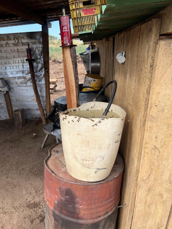 WhatsApp Image 2024-06-20 at 17.03.42.jpeg