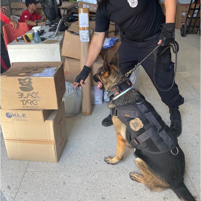 41a608ec-d7cd-4423-b106-8f943e1e46cf.jfif