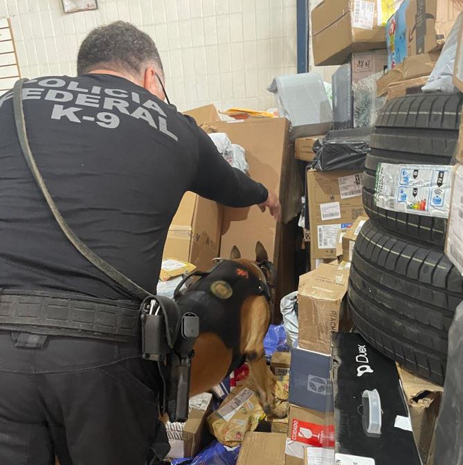 fdb83f06-9c11-417f-b234-e7b7411075fe.jfif