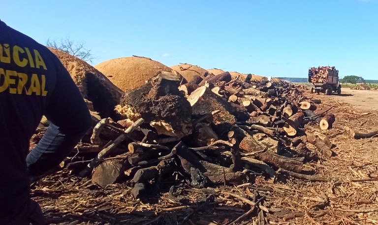 WhatsApp Image 2024-07-02 at 06.55.48.jpeg