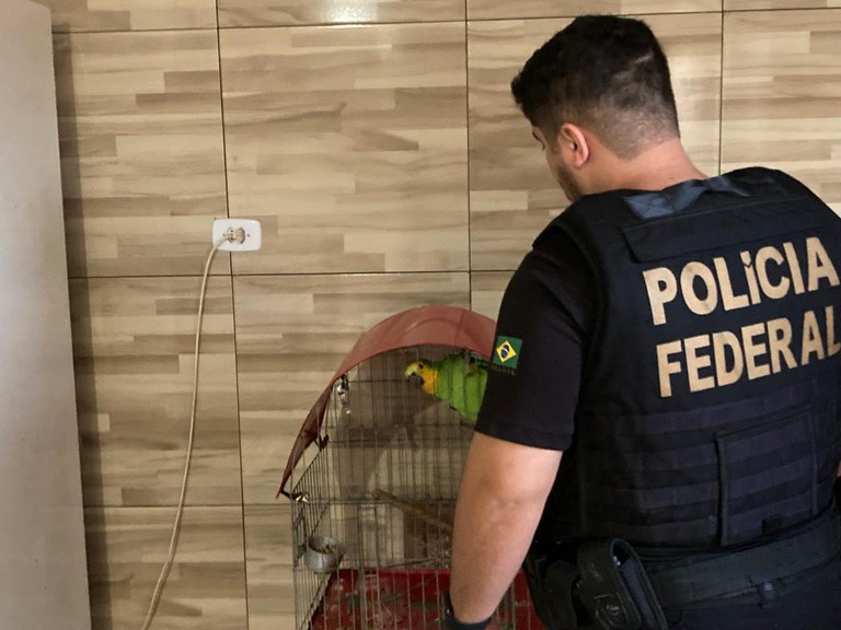 WhatsApp Image 2024-07-11 at 09.22.05.jpeg