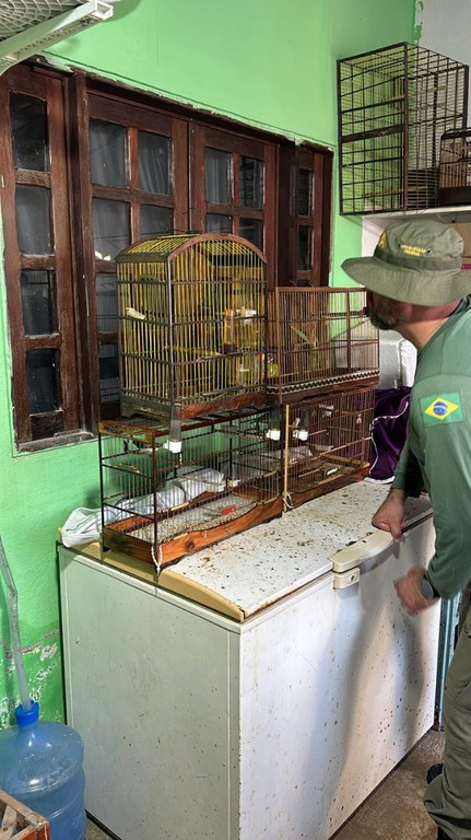 WhatsApp Image 2024-07-11 at 09.22.06.jpeg