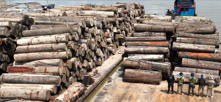 GREEN JUSTICE - 26_06.png