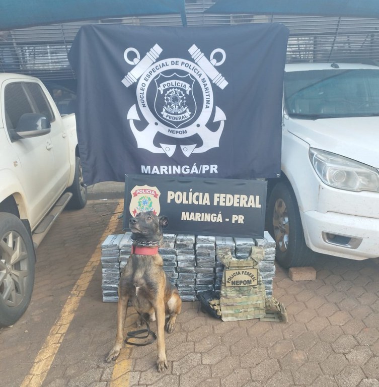 WhatsApp Image 2024-07-30 at 18.38.57.jpeg