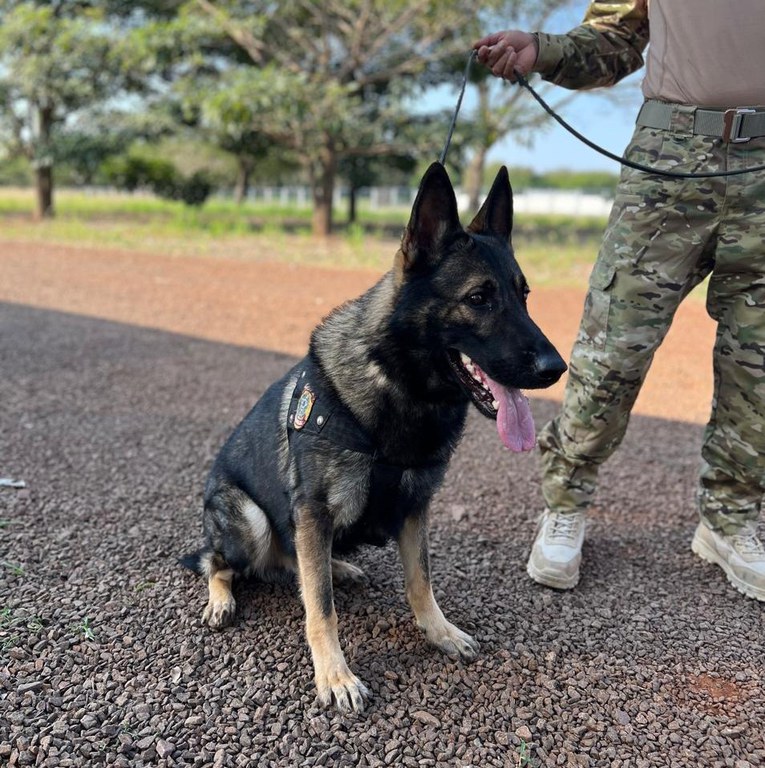 WhatsApp Image 2024-07-25 at 16.38.16.jpeg