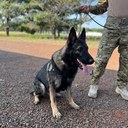 WhatsApp Image 2024-07-25 at 16.38.16.jpeg