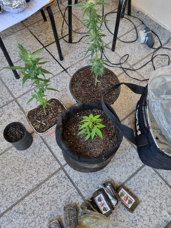 WhatsApp Image 2024-07-31 at 15.13.09.jpeg