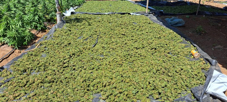 WhatsApp Image 2024-09-16 at 16.05.52.jpeg